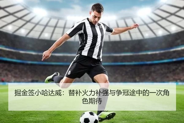掘金签小哈达威：替补火力补强与争冠途中的一次角色期待